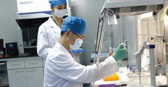 杭州怎么做亲子鉴定？做亲子鉴定需要多少钱？