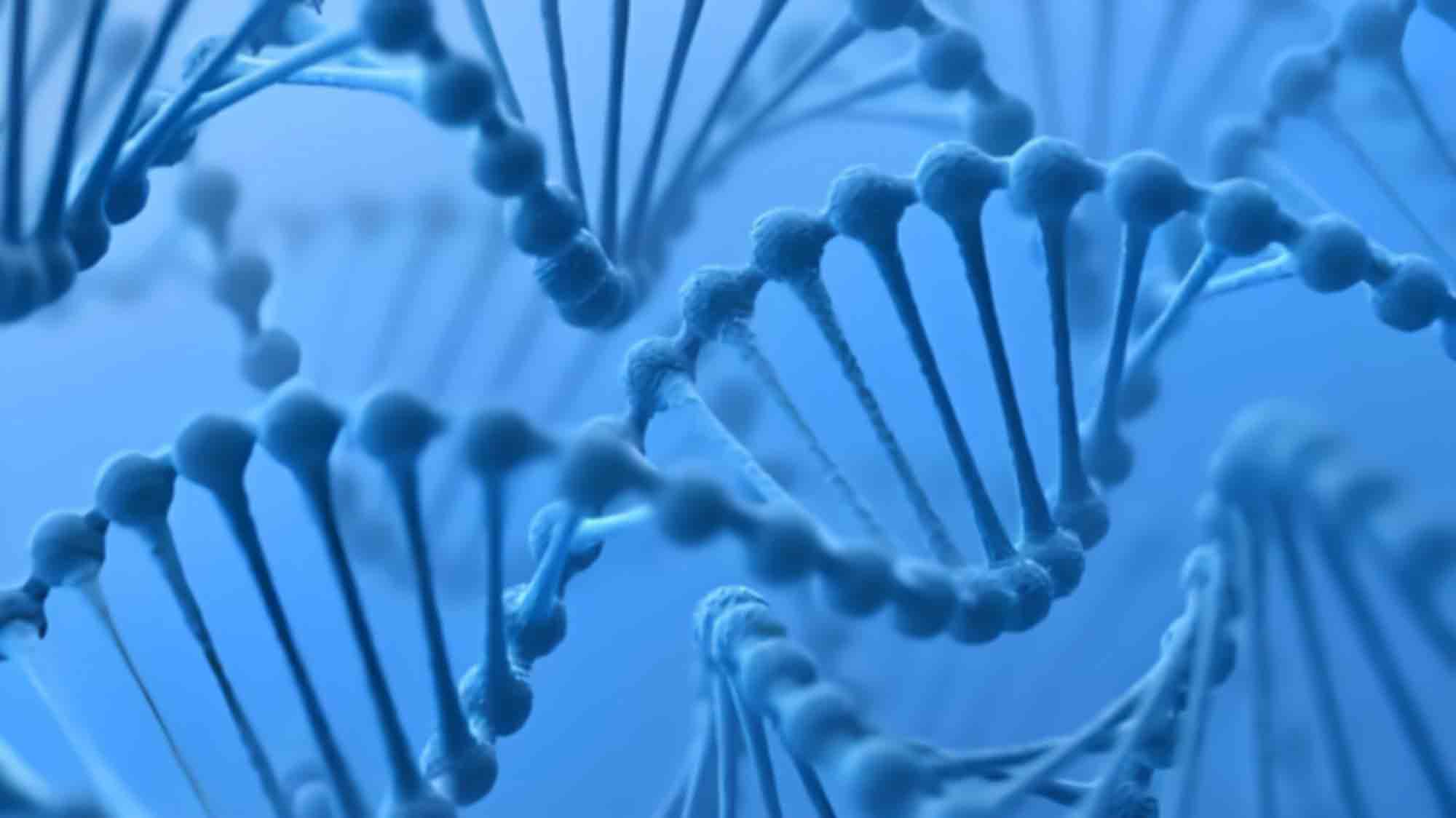 杭州富阳区做无创亲子鉴定的材料有什么